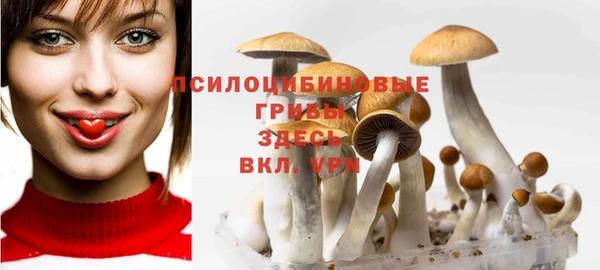 гидра Алзамай