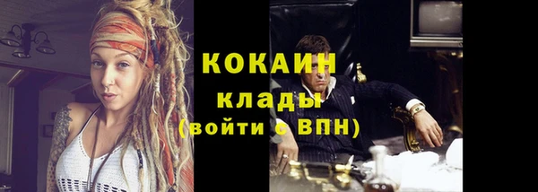 кокс Алексин