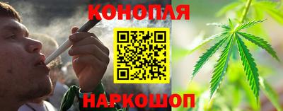 каннабис Новозыбков