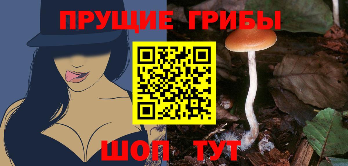 купить наркотик  Вход с VPN  Чусовой  Галлюциногенные грибы ЛСД 